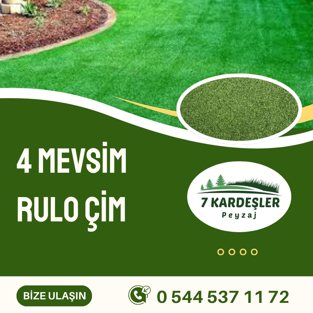 Resim