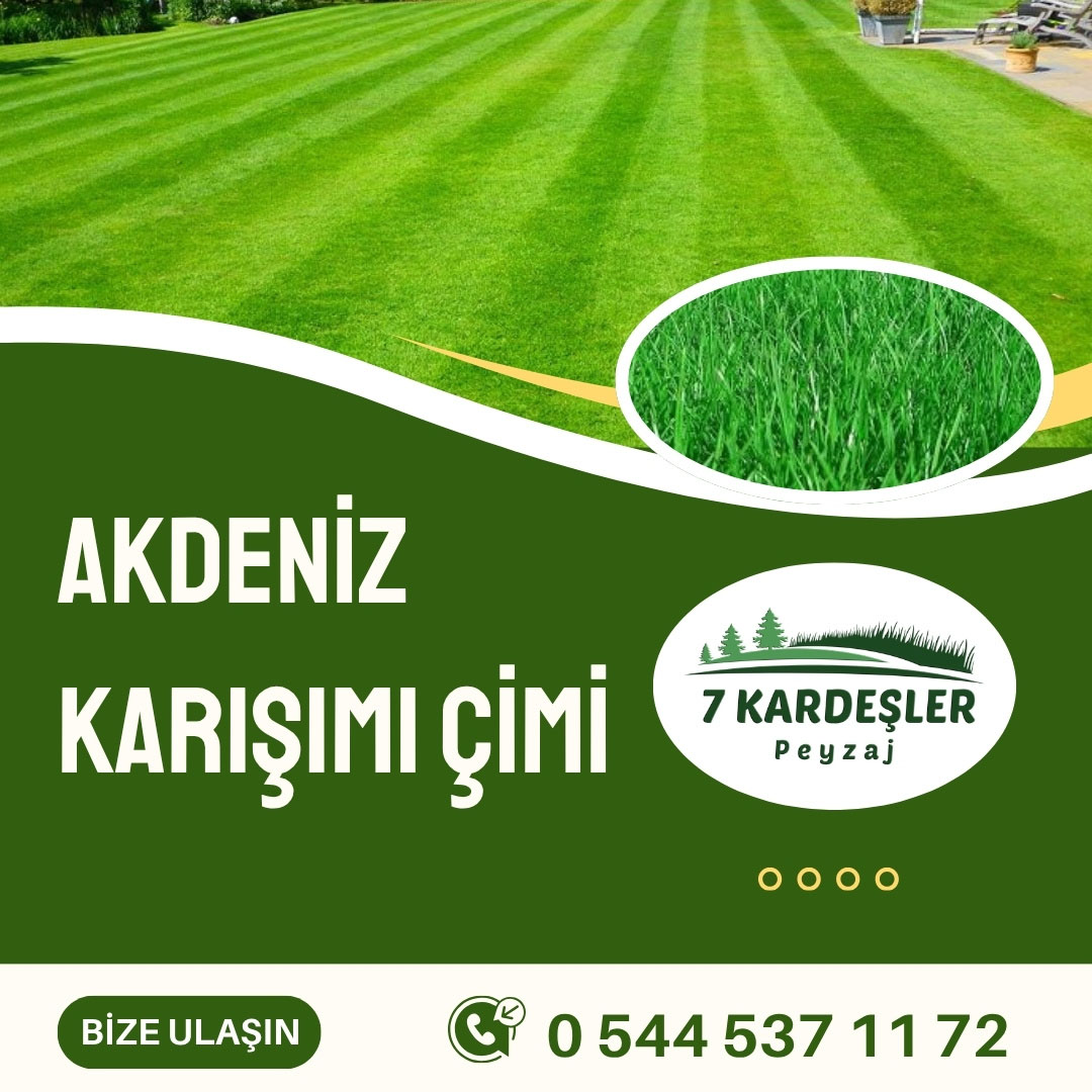 Resim