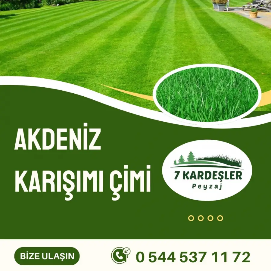 Akdeniz Karışımı Manisa