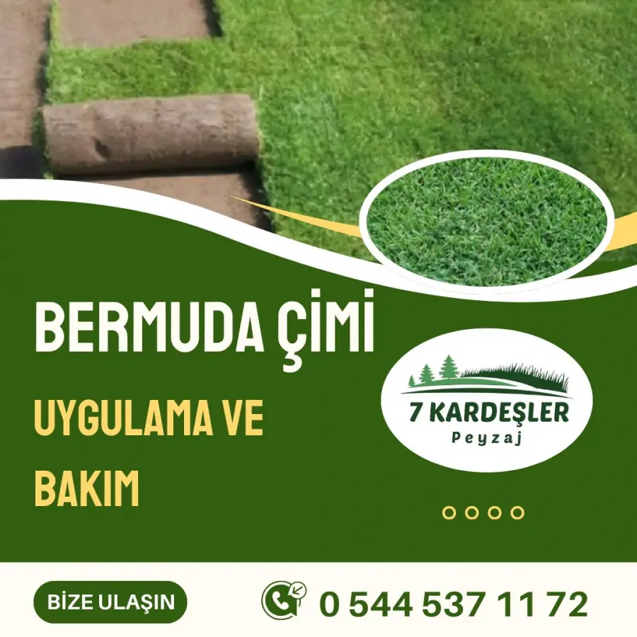 Bermuda Çimi Manisa