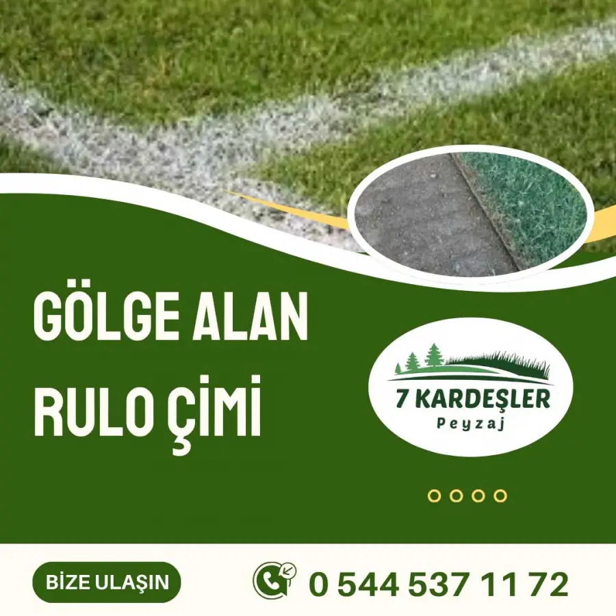 Gölge Alan Rulo Çimi Manisa