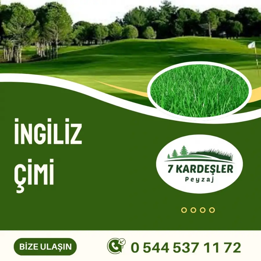 İngiliz Çimi Manisa